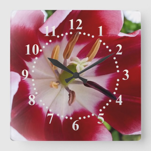 bright red tulip square wall clock (Front)