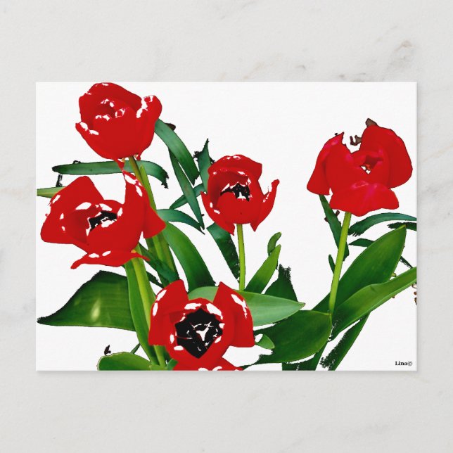Bright Red Tulips Postcard (Front)