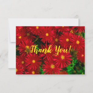 Bright Red Wild FlowersThank You Flat Card
