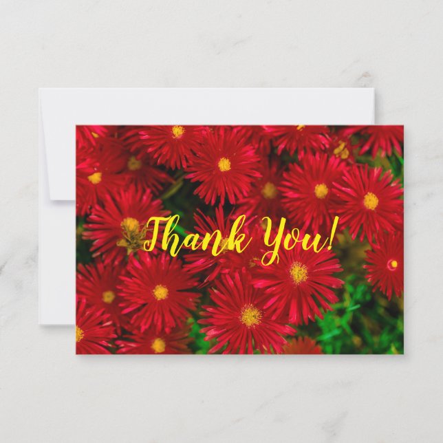 Bright Red Wild FlowersThank You Flat Card (Front)