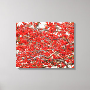 Bright Red Winterberries Holly Tree Berries Canvas Print