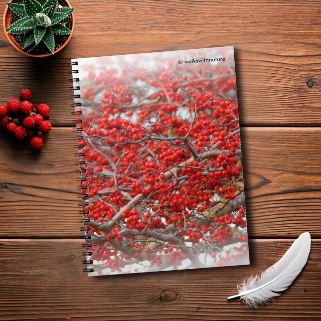Bright Red Winterberries Holly Tree Berries Notebook (Bright Red Winterberries Journal Cover Photo)