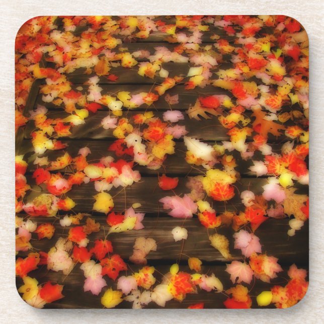 Bright Red Yellow Autumn Maple Leaves Coaster (Front)