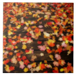 Bright Red Yellow Autumn Maple Leaves Tile