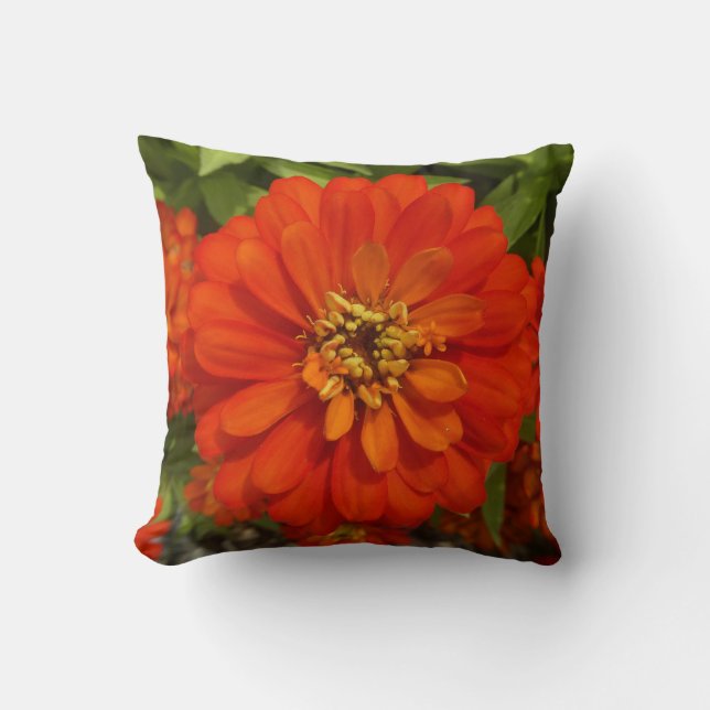 Bright Red Zinnia Trend  Cushion (Front)