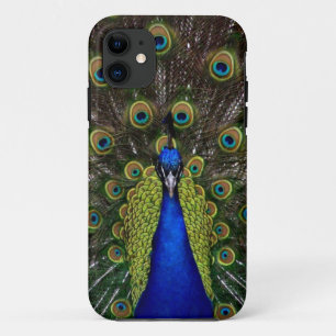 Bright regal peacock photo bird nature print iPhone 11 case