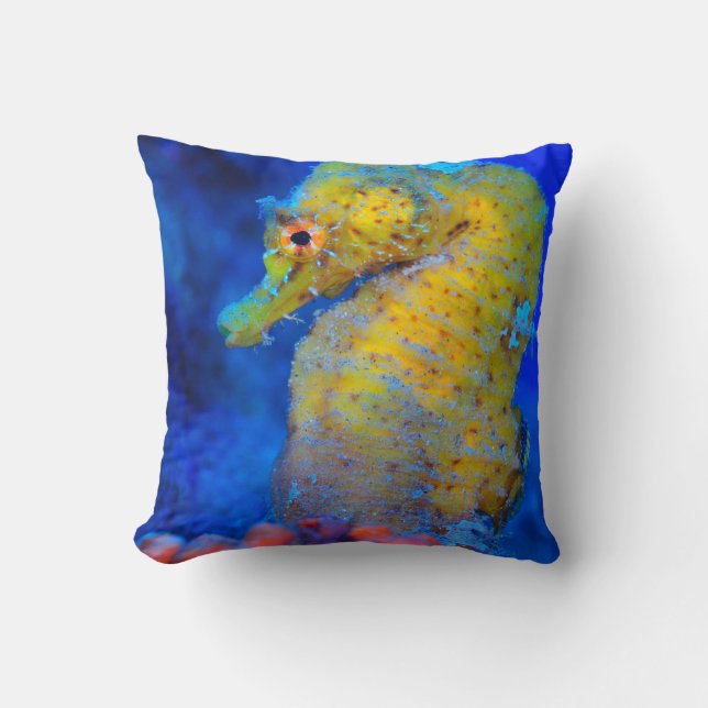 Bright Seahorse | Hippocampus Cushion (Front)