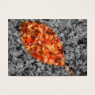 Bright Shadows Bookmarks