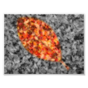 Bright Shadows Photo Print