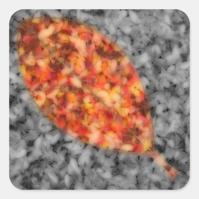 Bright Shadows Stickers (Front)