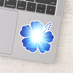 Bright Sky Blue Hibiscus Flower