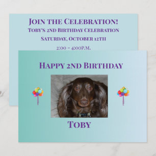 Bright Sky Pet Birthday Invitation Layout