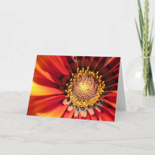 Bright Spark Card