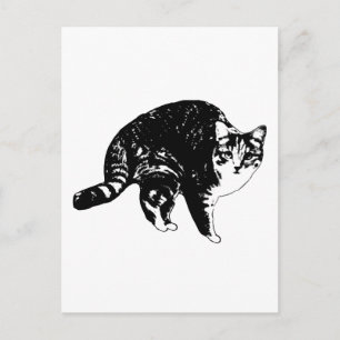 Bright-Step Tabby Hello Postcard