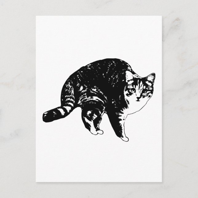 Bright-Step Tabby Hello Postcard (Front)
