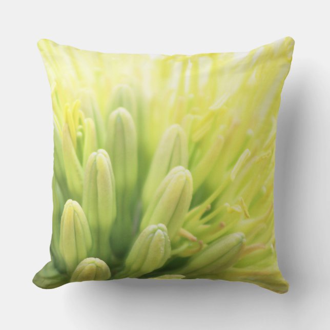 Bright Summer Agave Flower Cushion (Front)