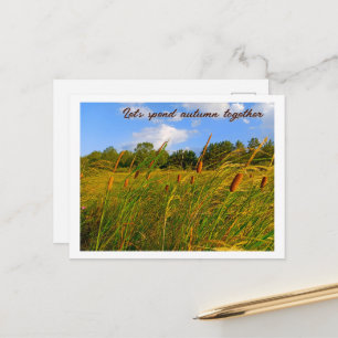 Bright Summer Hiking Wild Cattails Postcard