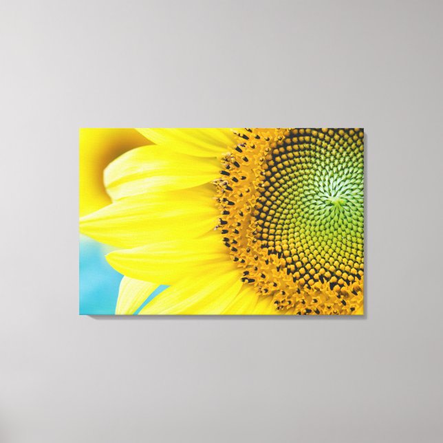 Bright Sunflower Canvas Print (Front)