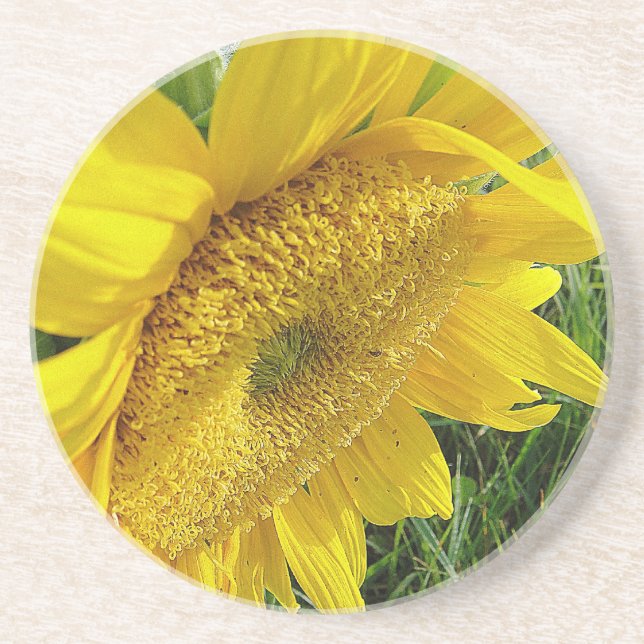 Bright sunflower coaster (Front)