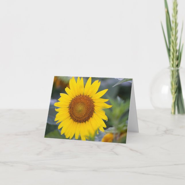 Bright Sunflower Folded Thank You Card (Front)