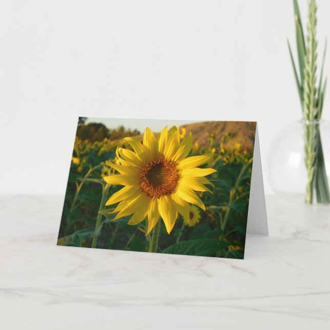 Bright Sunflower Greeting Card (Front)