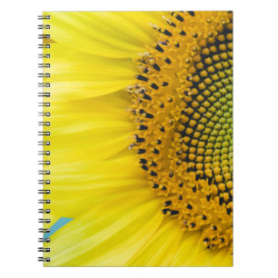 Bright Sunflower Notebook