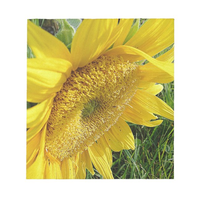 Bright sunflower notepad (Front)