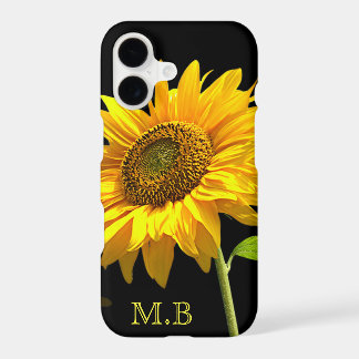 Bright Sunflower on Black Background
