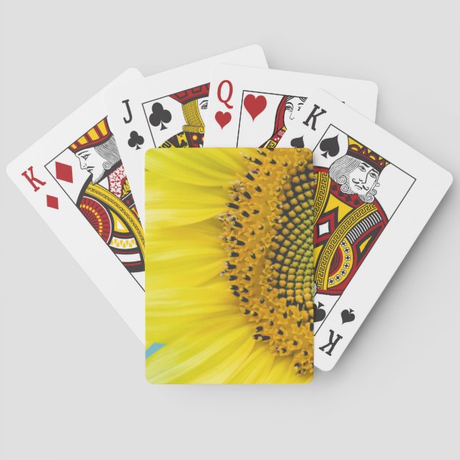 Bright Sunflower Playing Cards (Back)
