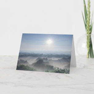 Bright Sunlight in the Bamboo Trees   Taiwan Card