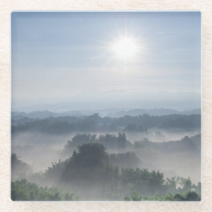 Bright Sunlight in the Bamboo Trees Taiwan Glass Coaster