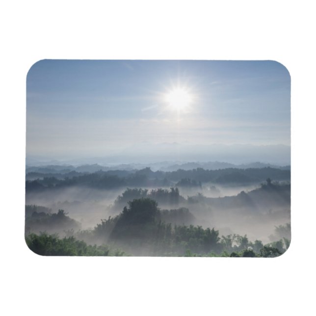 Bright Sunlight in the Bamboo Trees | Taiwan Magnet (Horizontal)