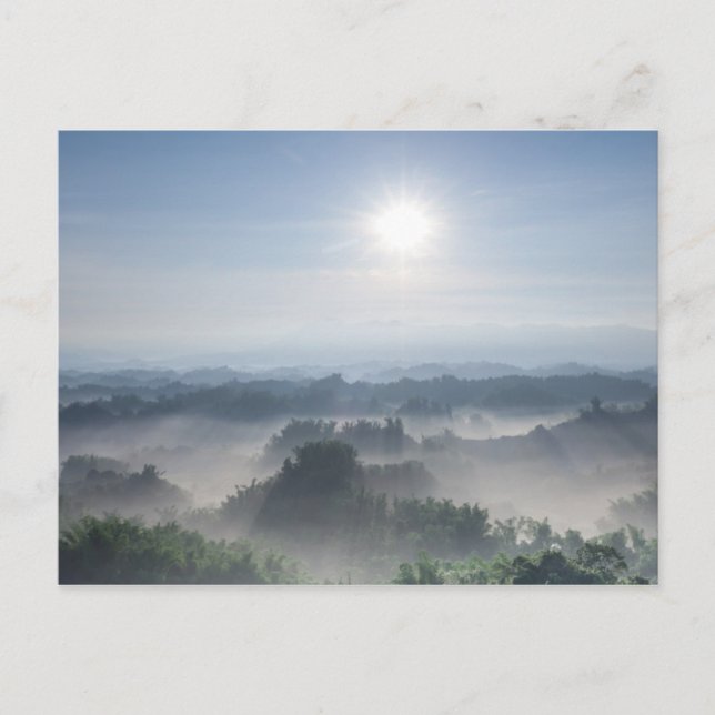 Bright Sunlight in the Bamboo Trees | Taiwan Postcard (Front)