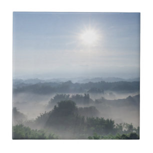 Bright Sunlight in the Bamboo Trees Taiwan Tile