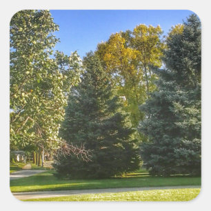 Bright Sunny Day In The Park Square Sticker