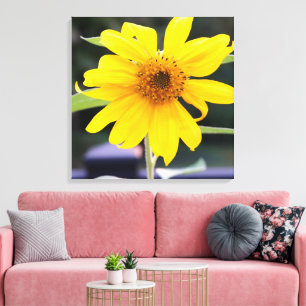 Bright Sunny Yellow Sunflower Close-up 24" x 24" Canvas Print