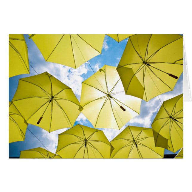 Bright Sunny Yellow Umbrellas (Front Horizontal)