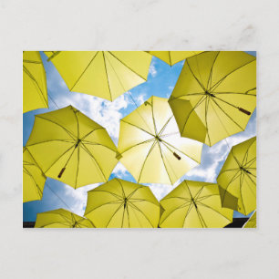Bright Sunny Yellow Umbrellas Postcard