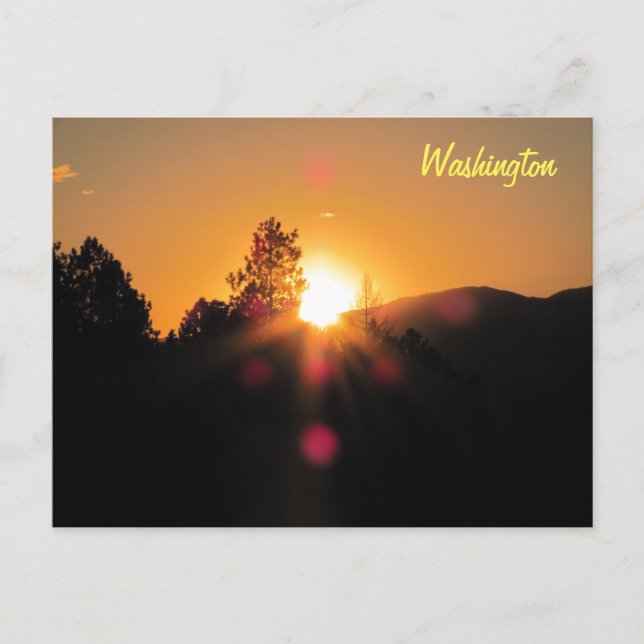 Bright Sunset over Washington Postcard (Front)