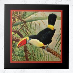 Bright Tropical Toucan in the Jungle Vintage Tile