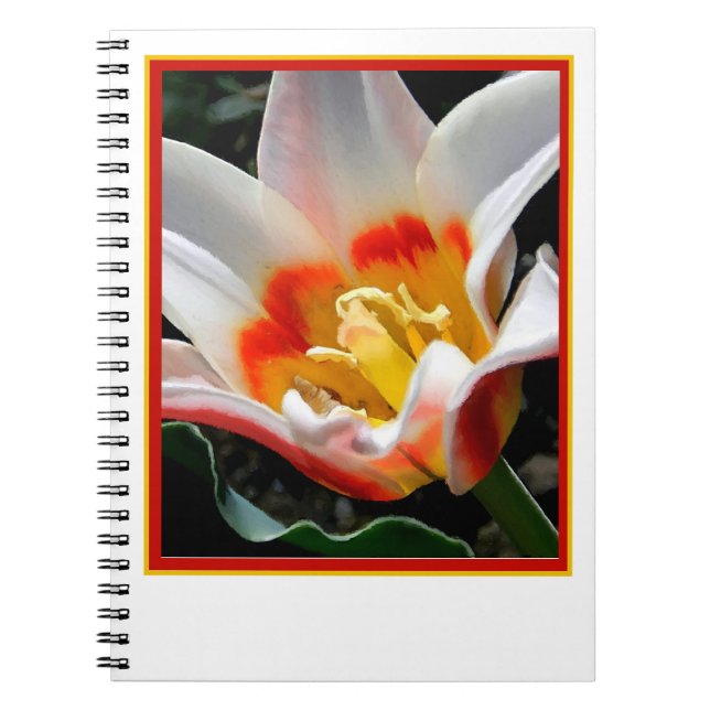 Bright tulip painting notebook (Front)