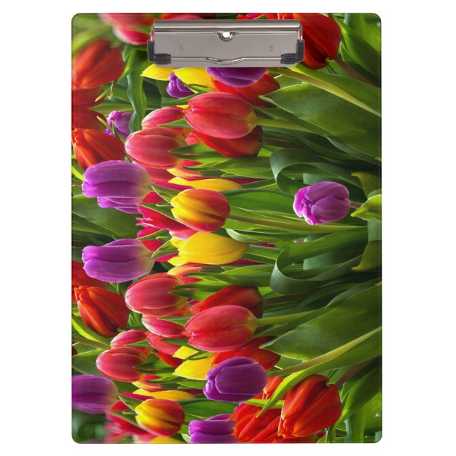 Bright Tulips Clipboard (Front)