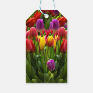 Bright Tulips Gift Tags