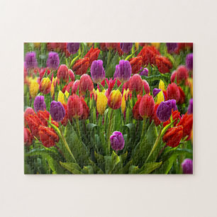 Bright Tulips Jigsaw Puzzle