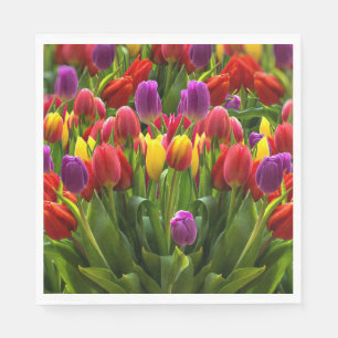 Bright Tulips Napkin