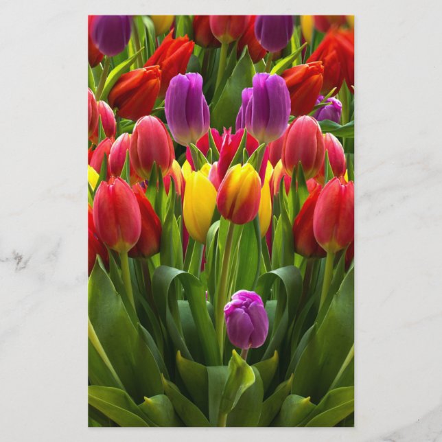Bright Tulips Stationery (Front)