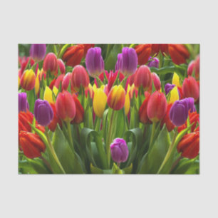 Bright Tulips Tissue Paper