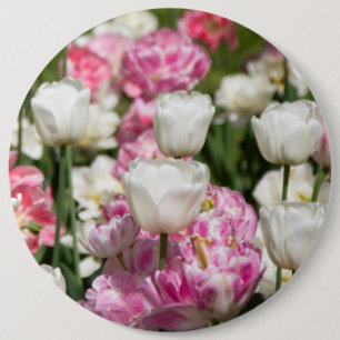 Bright white and pink tulips on a sunny day 6 cm round badge