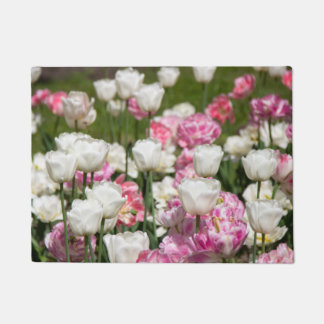 Bright white and pink tulips on a sunny day   doormat