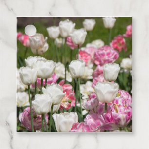 Bright white and pink tulips on a sunny day favour tags